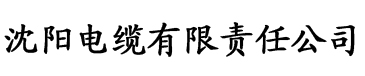 亚洲老汉色Av影院电缆厂logo